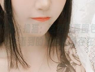 不呆猫在天台撸猫：这组写真图包可能是你今天看到的最轻松的存在！